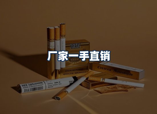 专业团队办公环境